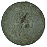 1940. "Erdélyi részek felszabadulásának emlékére" Zn emlékérem mellszalag és fül nélkül. Szign.: Berán (36mm) T:XF Hungary 1940. "Commemorative Medal for the Liberation of Transylvania" Zn medal without ear and ribbon. Sign.: Berán (36mm) C:XF NMK 428.