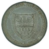 1940. "Erdélyi részek felszabadulásának emlékére" Zn emlékérem mellszalag és fül nélkül. S...