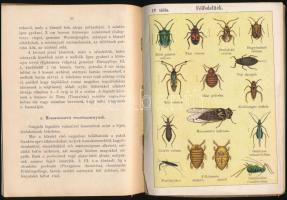 A kis rovargyűjtő. Utasítás a kiválóbb rovarok megismerésére és gyűjtésére. Németből fordította és a...