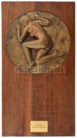 Lapis András (1942-): Álom. Bronz plakett fa lapban, d: 19 cm, 41x21,5 cm