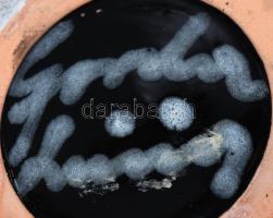 Gorka Lívia (1925-2011): Váza. Jelzett, szájánál sérüléssel, m: 18,5 cm