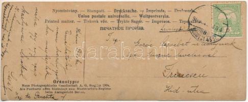 1909 Keleti hölgy, hosszúkás képeslap. Oranotypie / Oriental lady (17 x 6,8 cm) + "BUDAPEST 45....