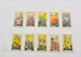Gallaher brit cigaretta-gyűjtőkártyák, 48 db-os komplett sorozat (vadvirágok), albumlapokon / British cigarette cards, complete series of 48 (Wild Flowers), in album sheets