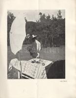 Ferenczy Károly képei a Nemzeti Szalonban. [Kiállítási katalógus] (1903).
Budapest, 1903. (Stephane...