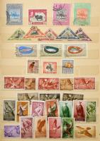 Állat motívum bélyegek az egész világból, 8 lapos, A/4-es berakóban