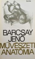 Barcsay Jenő: Művészeti anatómia. Bp., 1976, Corvina. Kiadói egészvászon-kötés, kiadói papír védőbor...