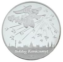 2010. "Boldog Karácsonyt! / 2010. évi naptár" kétoldalas fém naptárérem sérült kapszulában, tokban (42,5mm) T:PP, patina