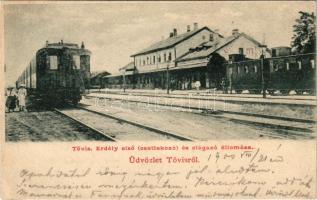 1900 Tövis, Teius; Erdély első csatlakozó és elágazó vasútállomása, gőzmozdony, vonat / first connecting and branching railway station of Transylvania, locomotive, train (EK)