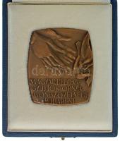 1983. "Magyar Bélyeggyűjtők Országos Szövetsége Budapest / MOTIVUM '83" egyoldalas bronz plakett, hátoldalán gravírozással, tokban (65x56mm) T:AU