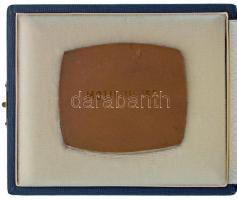 1983. "Magyar Bélyeggyűjtők Országos Szövetsége Budapest / MOTIVUM '83" egyoldalas br...