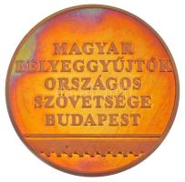 1994. "X. TEMAFILA '94 / Magyar Bélyeggyűjtők Országos Szövetsége - Budapest" kétoldalas bronz emlékérem műanyag tokban (42,5mm) T:AU,XF (eredetileg PP), pici ph.