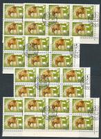 1981 Kittenberger 60f 6 db ívsarki 6-os tömb, mind PCSTA tévnyomattal (30.000)