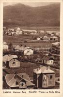 Sanok with the Biala Góra mountain