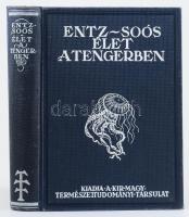 Entz Géza - Soós Lajos: Élet a tengerben. 26 táblával és 112 szövegrajzzal. Bp., 1931, Kir. M. Természettudományi Társulat, X+(2)+484 p.+ 26 t. Egyetlen kiadás. Szövegközti és egészoldalas, fekete-fehér és színes képekkel illusztrálva. Kiadói egészvászon-kötés, jó állapotban.