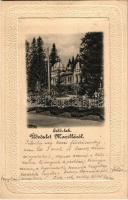 1904 Marilla, Marillavölgy, Marila; Erdő lak. Gross Gyula kiadása / villa (felületi sérülés / surface damage)