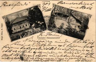 1903 Szlatinafüred, Slatina (Aknaszlatina, Solotvyno; Máramaros); Pável sósfürdő, Félix villa. Berger Miksa kiadása, szecessziós-virágos keret / spa, villa. Art Nouveau, floral (EK)