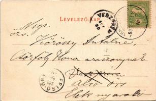 1903 Szlatinafüred, Slatina (Aknaszlatina, Solotvyno; Máramaros); Pável sósfürdő, Félix villa. Berge...