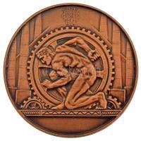 Románia "UCM Resita Gépgyár - Alapítva 1771" kétoldalas bronz emlékérem törött műanyag tokban. Szign.: "A Z" (60mm) T:UNC,AU Romania "UCM Resita Uzina Constructoare De Masini - Fondat 1771" two-sided bronze commemorative medallion in a broken plastic case. Sign.: "A Z" (60mm) C:UNC,AU