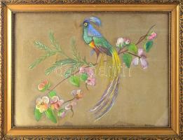 Heyzner jelzéssel: Paradicsommadár. Selyem, tempera. jelzett, üvegezett keretben., foltos 35x45 cm