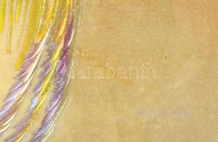 Heyzner jelzéssel: Paradicsommadár. Selyem, tempera. jelzett, üvegezett keretben., foltos 35x45 cm