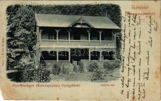 1899 Gyertyánliget, Polyana-Gyertyánliget, Kabola Polyána, Kobyletska Poliana (Máramaros, Maramures); Valéria ház. Mayer és Berger kiadása / villa (EM)