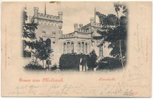 1900 Medgyes, Mediasch, Medias; Turnhalle / Tornacsarnok. Fritz Guggenberger kiadása, Hans Guggenberger felvétele / gym hall (ázott / wet damage)