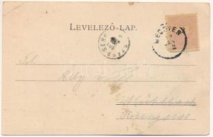 1900 Medgyes, Mediasch, Medias; Turnhalle / Tornacsarnok. Fritz Guggenberger kiadása, Hans Guggenber...