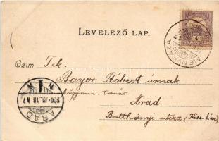 1900 Menyháza, Monyásza, Moneasa; Meleg gyógyfürdő szálloda, Sata lak / spa hotel, villa (EK)