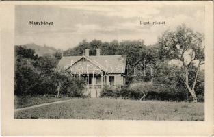 Nagybánya, Baia Mare; Ligeti részlet, Kosutány villa. Kovács Gyula kiadása / villa (apró szakadás / ...