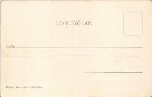 Nagybánya, Baia Mare; Ligeti részlet, Kosutány villa. Kovács Gyula kiadása / villa (apró szakadás / ...