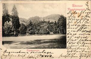 Nagybánya, Baia Mare; Ligeti részlet, teniszpálya széle. Rózsa Simon kiadása / park, edge of the tennis court (fl)