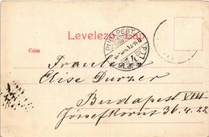 Nagybánya, Baia Mare; Ligeti részlet, teniszpálya széle. Rózsa Simon kiadása / park, edge of the ten...