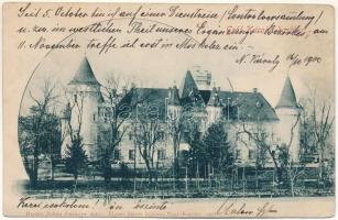 1900 Nagykároly, Carei; Gróf Károlyi kastély. Eigner Simon kiadása, Huszty Zoltán fényképe után / castle (ázott sarok / wet corner)