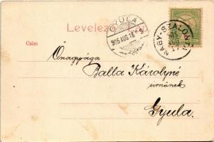 1905 Nagyszalonta, Salonta; Piactér, Arany emléktorony, Reich Jakab üzlete, zsinagóga. Székely J. Je...