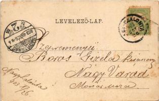 1903 Nagyszalonta, Salonta; Piactér, Fő utca. Fábián L. Dezső kiadása / market square, main street (...