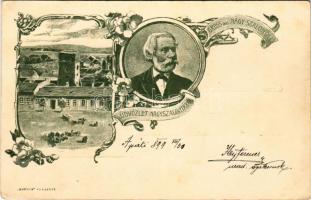 1899 Nagyszalonta, Salonta; Arany János, Csonkatorony, piac. "Kosmos" Budapest kiadása, szecessziós-virágos keret / tower, market, János Arany. Art Nouveau, floral frame (EK)