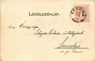 1899 Nagyszalonta, Salonta; Arany János, Csonkatorony, piac. "Kosmos" Budapest kiadása, sz...