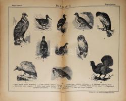 Somogyi Ede (szerk.): Magyar Lexikon. Az összes tudományok encziklopédiája. 2., 3., 5-9., 11-17. köt...