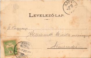 1903 Losonc, Lucenec; Gácsi utca, Szálloda a Magyar Királyhoz, üzletek. Redlinger kiadása / street v...