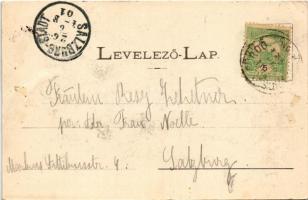 1901 Lucski-fürdő, Lúcky Kúpele (Liptó); fürdő / general view, spa. Art Nouveau, floral (fa)