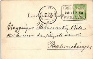 1909 Máriavölgy, Sárosmáriavölgy (Kőtelep, Kruzslyó, Kruzlov); Pausz Tivadar cég üveggyár telepe. Di...