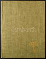 Franciaország művészet motívum gyűjtemény 12 lapos nagy méretű berakó 15 oldalán