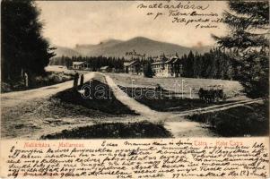 1906 Matlárháza, Matliary, Tatranské Matliare (Magas-Tátra, Vysoké Tatry); szálloda, nyaralók. Kuszmann Gyula kiadása / Matlarenau / hotel, villas (Rb)