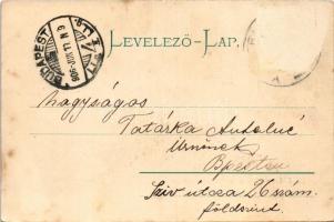 1906 Matlárháza, Matliary, Tatranské Matliare (Magas-Tátra, Vysoké Tatry); szálloda, nyaralók. Kuszm...