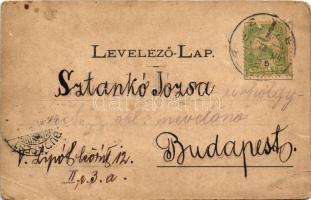 Modor-Harmónia, Modern-Harmonie, Modra; Ilona villa / villa (EB)