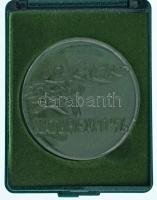 1996. "Naturexpo '96" egyoldalas üveg emlékérem, műanyag dísztokban (49mm) T:AU