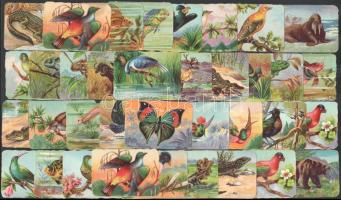 Franck-sorozat: Madarak, Lepkék, állatok sorozat 43 kisebb +11 nagy méretű dombornyomott, litográf kivitelű gyűjtőkártya. Franck Henrik fiai Rt. pótkávégyár. A magyarországi Franck cég 1925-ben alakult részvénytársasággá, a csonka Magyarországon Nagykanizsán és Mosonszentjánoson működött gyáregysége, majd 1934-ben Budapesten, a Budafoki úton is létrehozta telephelyét, ide költözött a központi iroda is. A gyermekek fogyasztóvá nevelése, megnyerése érdekében folytatott reklámtevékenysége részeként adott ki a cég színes, pl. állatokat ábrázoló, albumba beragasztható gyűjtőkártyákat, a hátoldalon az adott állat leírásával, egyéb kártyainformációkkal. A 43 kisebb+11 nagyobb méretű képből álló tétel gyűjtőkártyáit a budapesti gyáregység létrehozása (1934) után, vélhetően 1937-ben bocsátották ki.