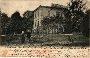 1908 Nagyszalók, Grossschlagendorf, Velky Slavkov (Tátra, Vysoké Tatry); Weszter szálloda. Feitzinger Ede 97. / Hotel Weszter / hotel (EB)