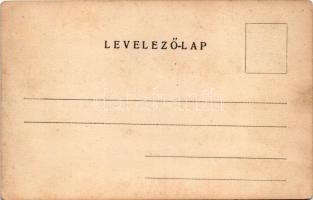 Nagyszalánc, Nagy-Szaláncz, Szalánc, Salanc, Slanec (Kassa); Forgách kastély és várrom / castle and ...