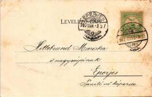 1902 Makó, M. kir. pénzügyi palota. Gaál László kiadása (fl)